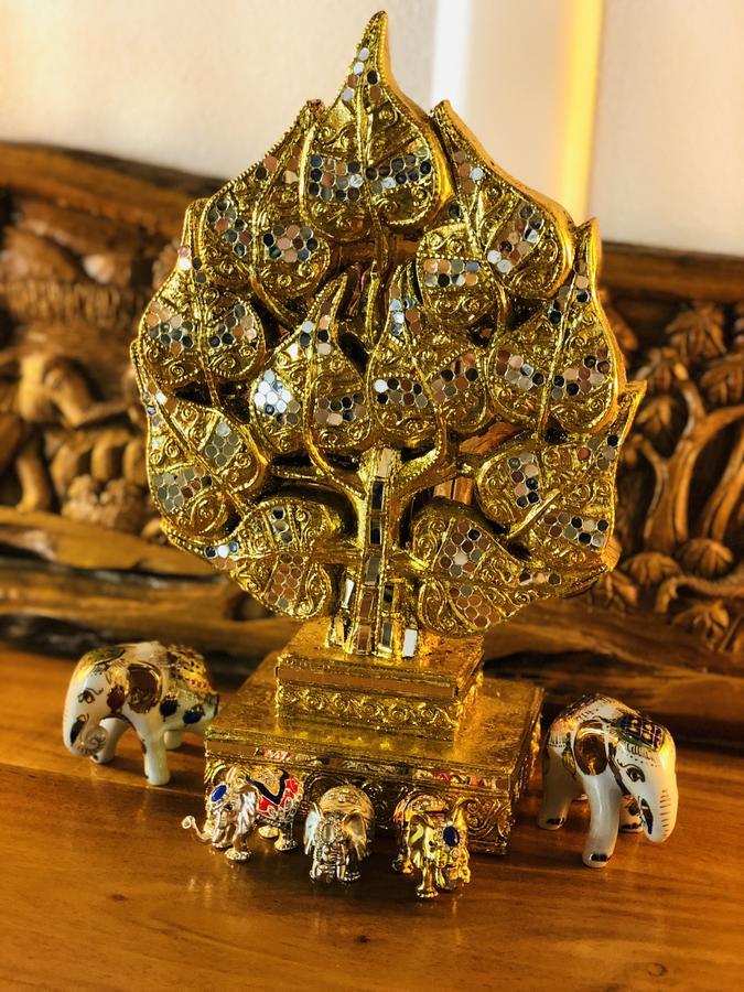 B&B Kookhai Kluisbergen ภายนอก รูปภาพ